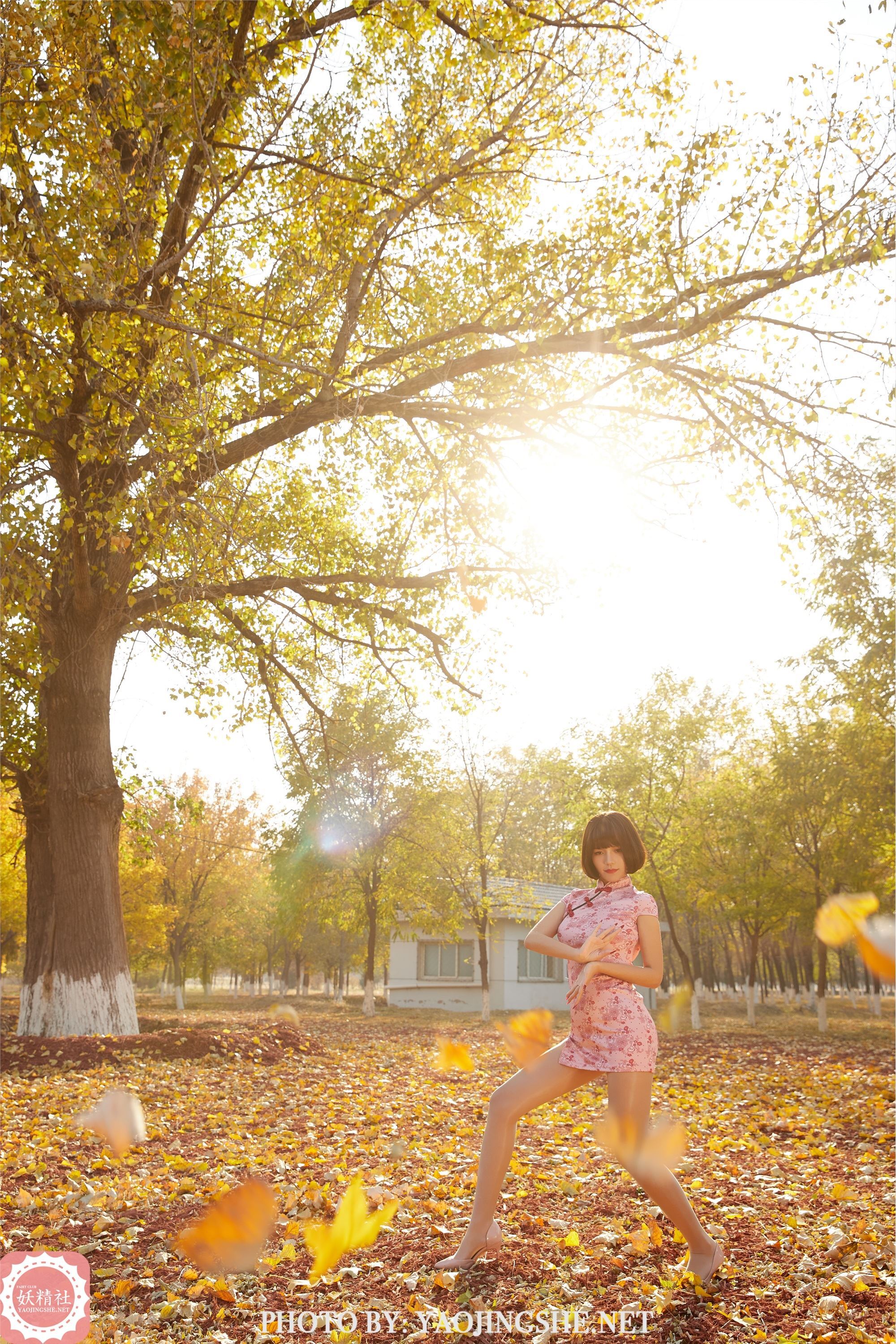 妖精社  2021.01.24 T2103《太极小宗师》唐飞飞